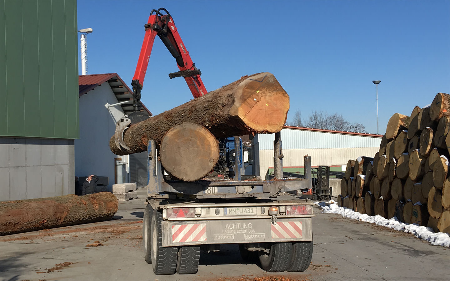 Unloading of a wood giant 